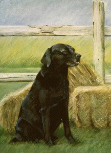 20 x 24 $540 1 Subject with Background